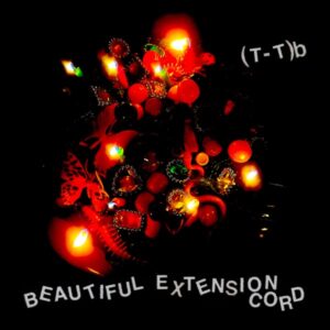 (T-T)b — Beautiful Extension Cord