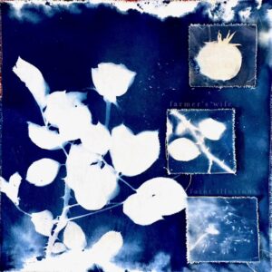 Farmer’s Wife — Faint Illusions
